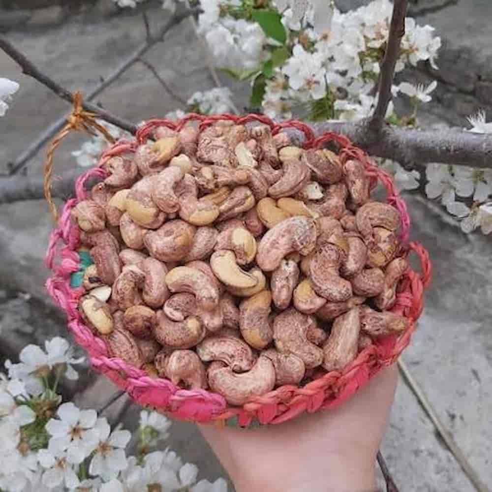 بادام هندی با پوست کاجو مناسب مصارف صنعتی و غذایی